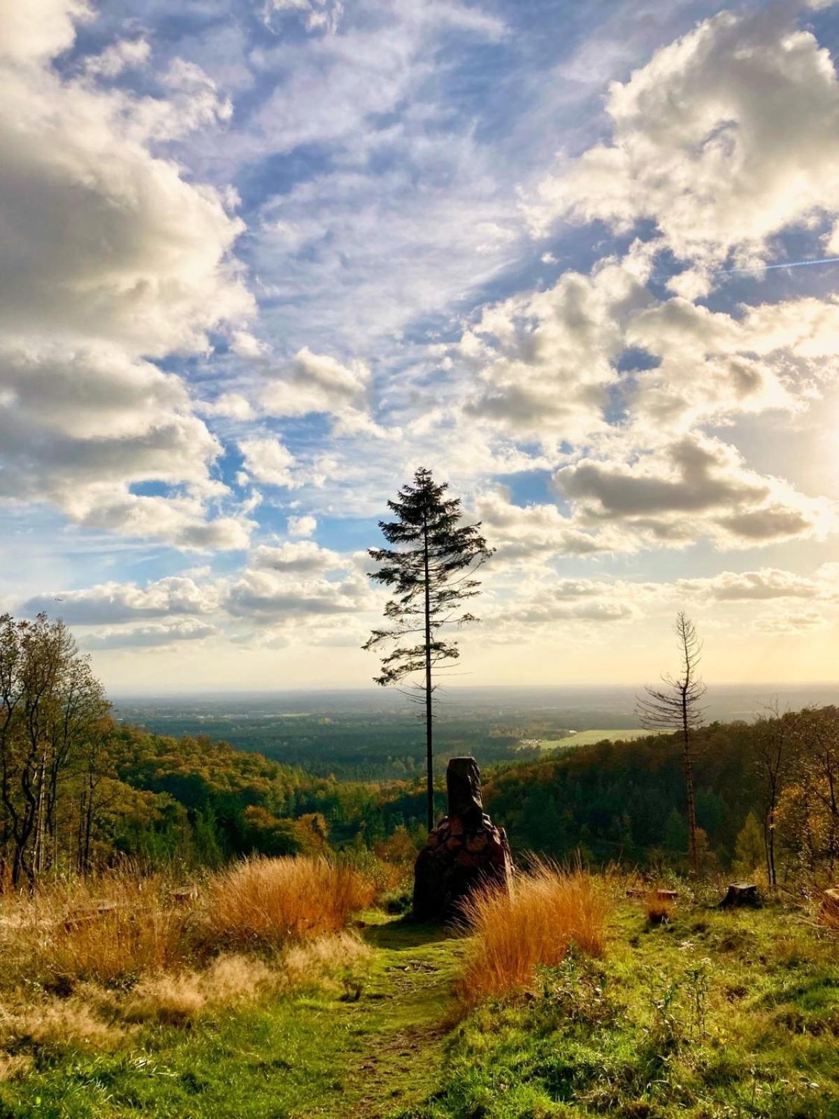 Berggasthof Toensblick Oerlinghausen Luaran gambar